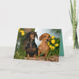 Happy Birthday Dachshund Puppy Dog Card