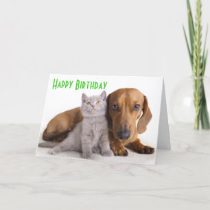 Happy Birthday Dachshund Puppy Dog Card