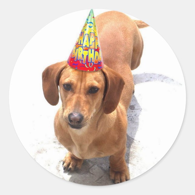 Happy Birthday Dachshund stickers (Front)