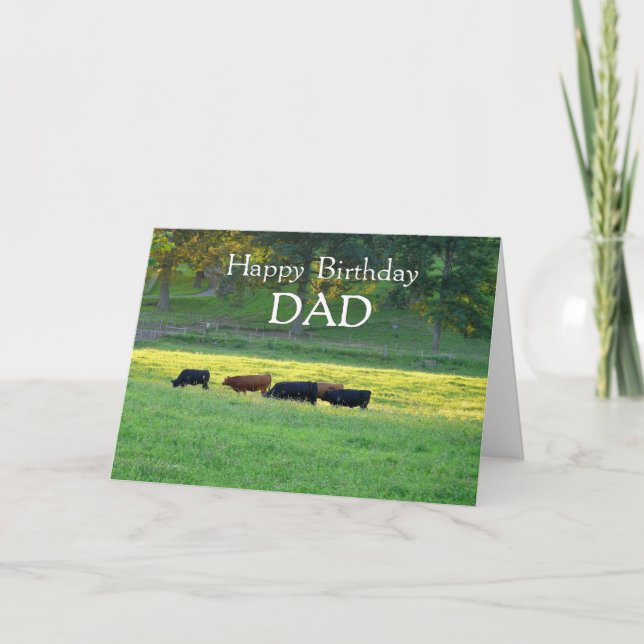 Happy Birthday DAD-Cows in pasture. Card (Front)