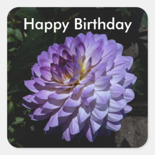 Happy Birthday Dahlia Bea Paradise #1 Stickers