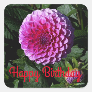 Happy Birthday Dahlia Pink Paradise #1 Stickers