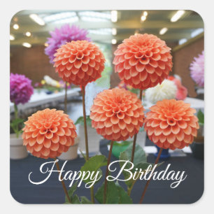 Happy Birthday Dahlia Rose Toscano #1-1 Stickers