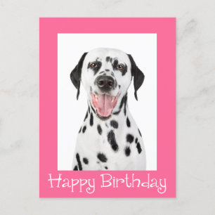 Happy Birthday Dalmatian Puppy Dog Post Card