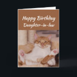 Happy Birthday Daughter-in-law Celebrate Funny Cat Card<br><div class="desc">Happy Birthday Daughter-in-law Celebrate it any way you want with a cute relaxing Cat Funny animal birthday greeting to customize</div>