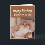 Happy Birthday Daughter-in-law Celebrate Funny Cat Card<br><div class="desc">Happy Birthday Daughter-in-law Celebrate it any way you want with a cute relaxing Cat Funny animal birthday greeting to customize</div>