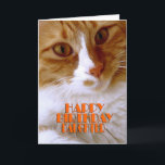 Happy Birthday Daughter Sweet Cat Card<br><div class="desc">Wish your daughter a "Happy Birthday",  with this cute card from my "Kitty Koolness" Collection,  featuring an adorable orange and white kitty. The inside can be kept as is,  or personalized by you for that added touch. Photo by designer.</div>