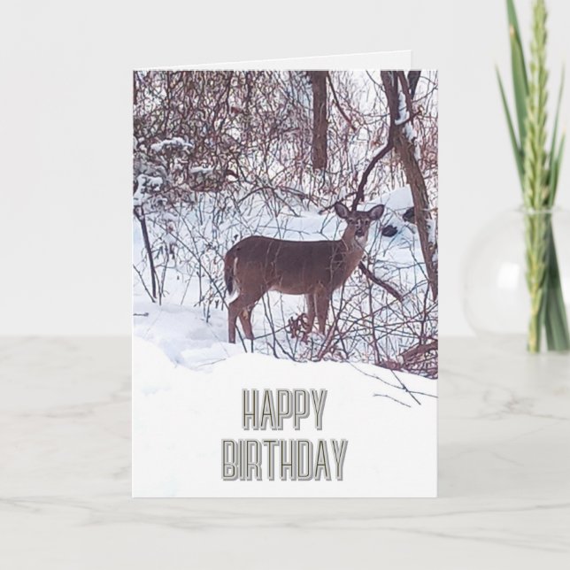 Happy Birthday Deer Photo Nature Card (Front)
