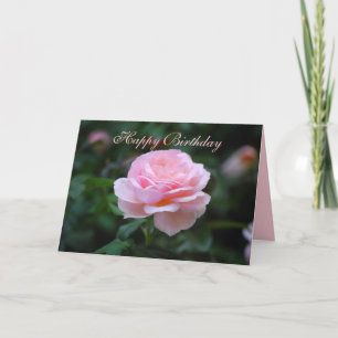 Happy Birthday Delicate Pink Rose Card