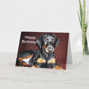 Happy Birthday - Doberman Pinscher Puppy Card