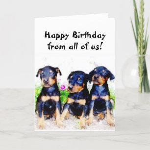 Happy Birthday Doberman puppies greeting card