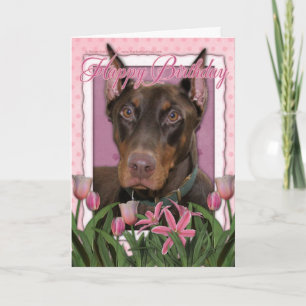 Happy Birthday - Doberman - Rocky Card