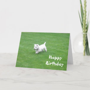 happy birthday dog card