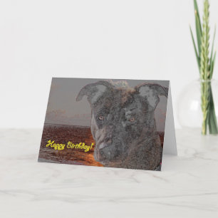 Happy Birthday Dog Card