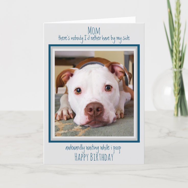 Happy Birthday Dog Mom Funny Cute Dog Poop Card | Zazzle Happy Birthday Dog Mom Funny Cute Dog Poop Card | Zazzle