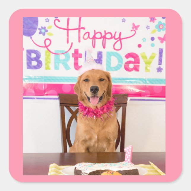Happy Birthday Dog Party with My Dawg Square Sticker (Front)