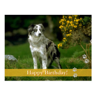 Happy Dog Postcards, Happy Dog Post Card Templates