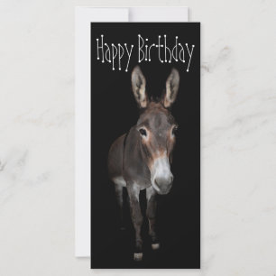 Happy Birthday Donkey Card