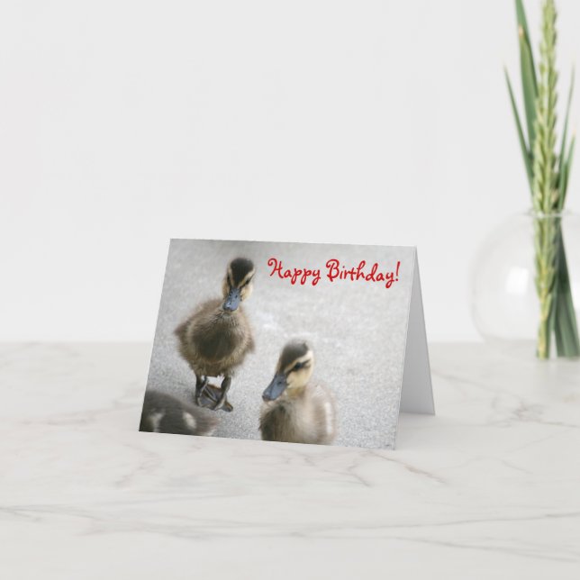 Happy Birthday, Ducklings Card (Front)