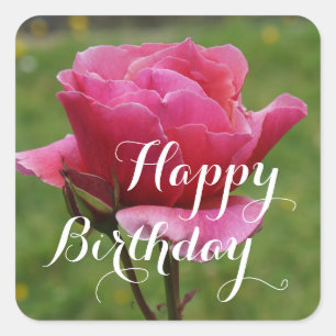 Happy Birthday Duet Rose #1 Stickers