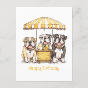 Happy Birthday English Bulldogs Lemonade Stand Postcard
