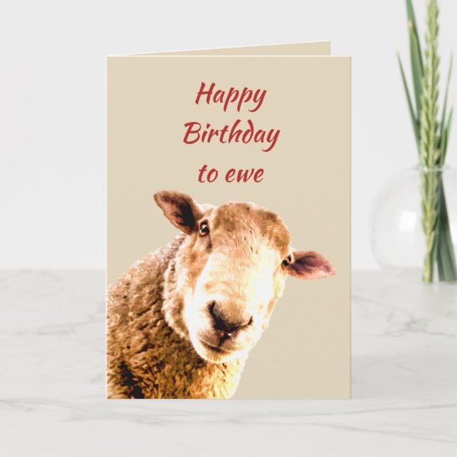 Happy Birthday Ewe Funny Sheep Animal Humour Card (Front)