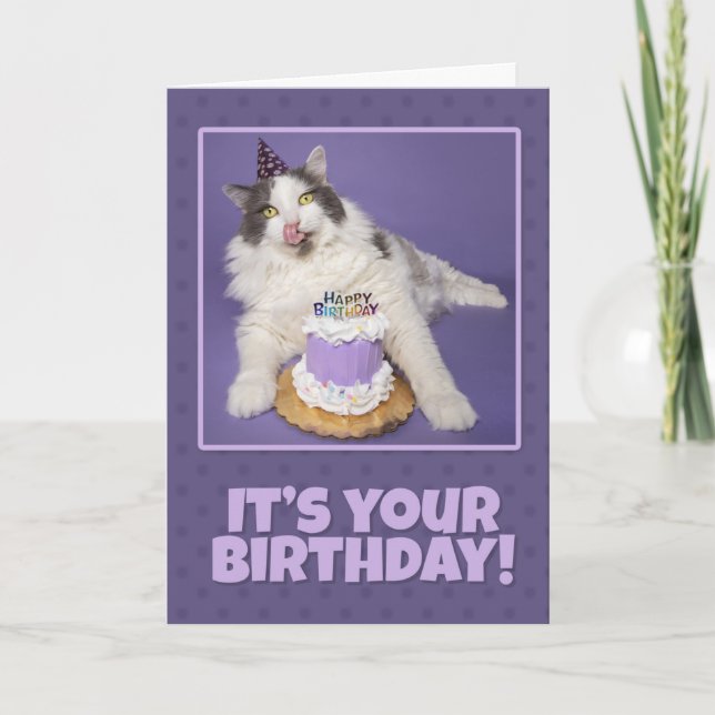 Happy Birthday Fat Cat Licking Face With Cake Holiday Card (Front)