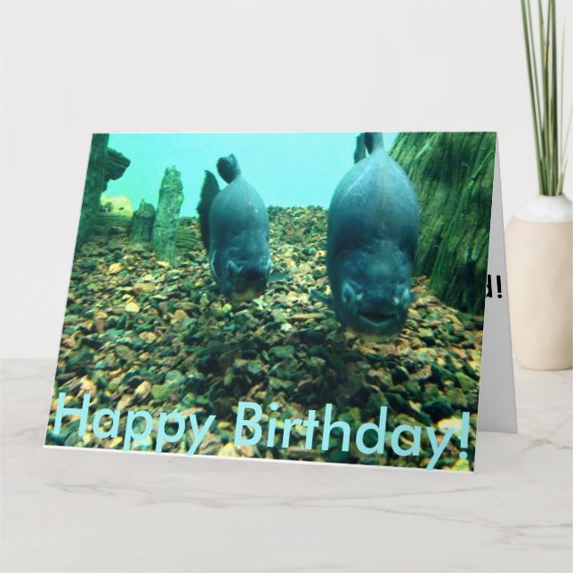 Happy Birthday Fish Card (Front)