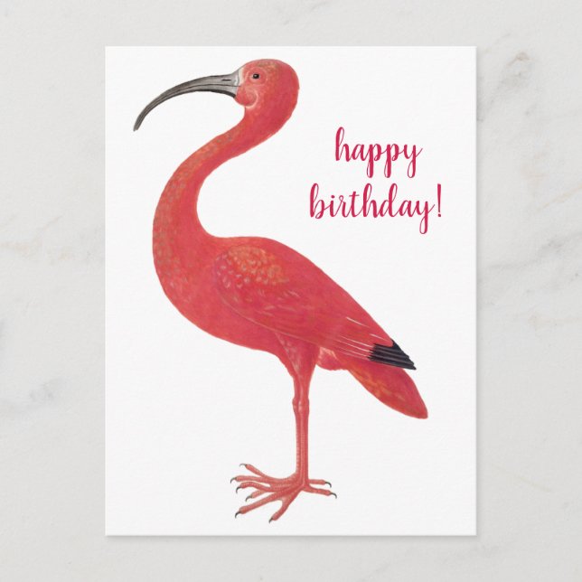 Happy Birthday Flamingo Vintage Fine Art Postcard (Front)