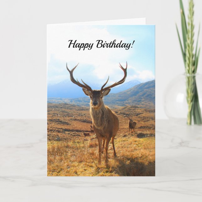Happy Birthday for a Deer Person Card (Front)