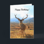 Happy Birthday for a Deer Person Card<br><div class="desc">A special card for someone who hunts or just loves animals,  nature,  and the outdoors.  Use your own text or ours!</div>