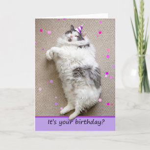 Happy Birthday For Anyone Fat Cat Down For Cake Holiday Card