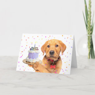 Happy Birthday For Anyone Puppy Holding Birthday  Holiday Card