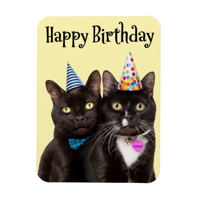 Happy Birthday For Anyone Two Cats in Party Hats Magnet (Vertical)