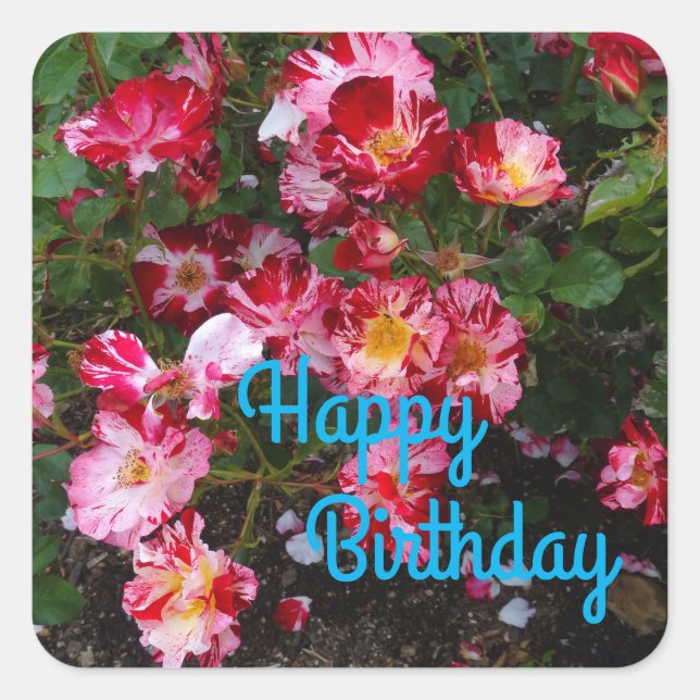 Happy Birthday Fourth of July Rose #1 Stickers (Front)