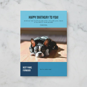 Happy Birthday French Bulldog  Card