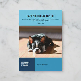 Happy Birthday French Bulldog  Card