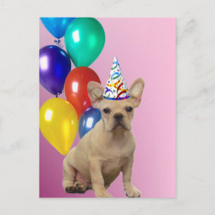 Happy Birthday French Bulldog postcard