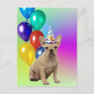 Happy Birthday French Bulldog postcard