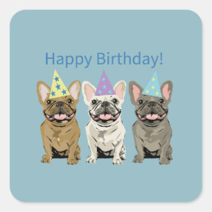 Happy Birthday! French Bulldogs Square Sticker