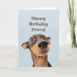 Happy Birthday Friend Funny Dog Humour Card<br><div class="desc">Happy Birthday Friend we've been through a lot together and most of it was your fault.  cute traumatized looking dog</div>
