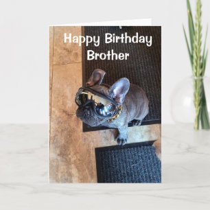 HAPPY BIRTHDAY FROM A COOL DOG "BROTHER" CARD