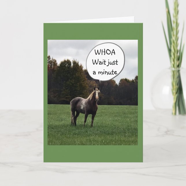 HAPPY BIRTHDAY FROM A VERY SMART HORSE CARD (Front)