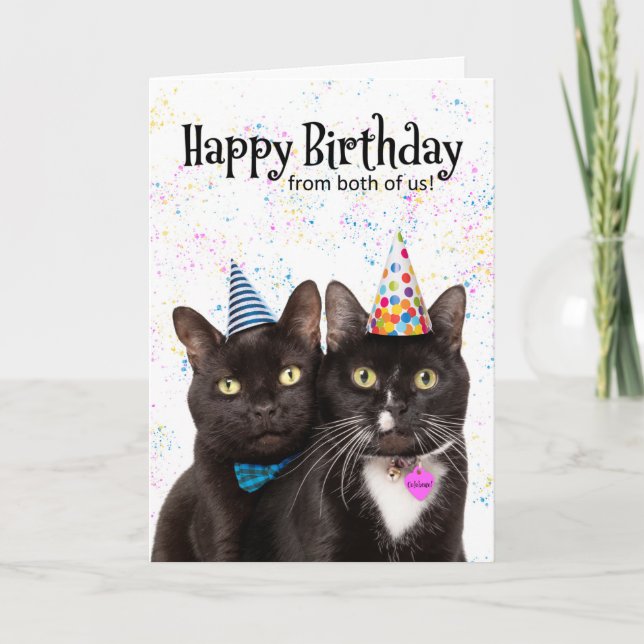 Happy Birthday From Both Cute Cats Humour Holiday Card (Front)
