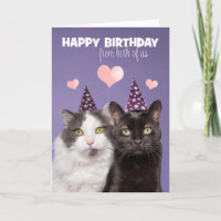 Happy Birthday From Both of Us Two Cute Cats