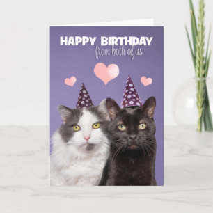 Happy Birthday From Both of Us Two Cute Cats Holiday Card