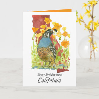 Happy Birthday from California Quail Poppy Flowers Card