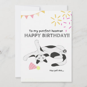Happy Birthday From Cat Flat Holiday Card