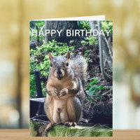 Happy Birthday from Deez Nuts Funny Squirrel Photo