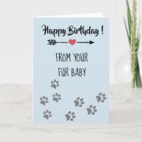 Happy Birthday from Dog Cat Pet Fur Baby
